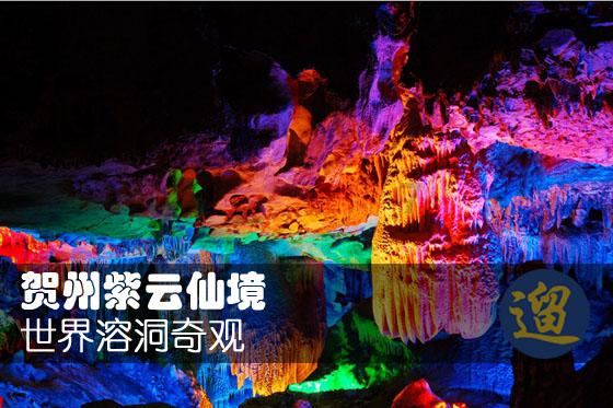 动物帮帮忙保卫家园